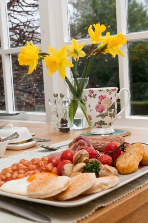 Bwlch Y Fedwen Bed And Breakfast Porthmadog Zewnętrze zdjęcie